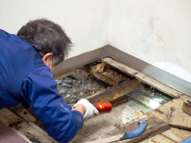 Best Industrial Mold Remediation in Callahan, FL