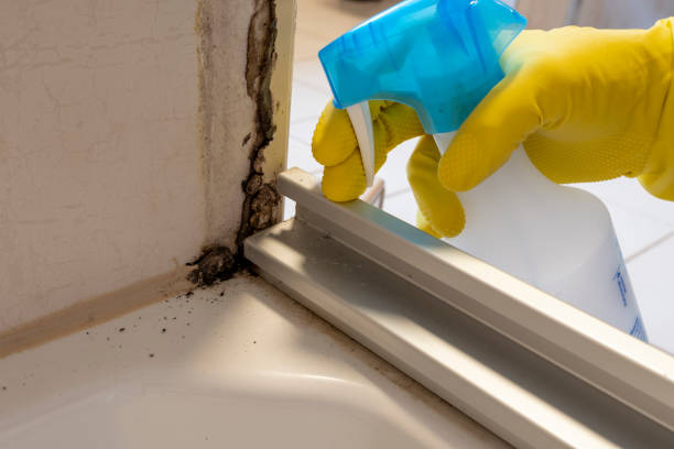 Best HVAC Mold Remediation in Callahan, FL